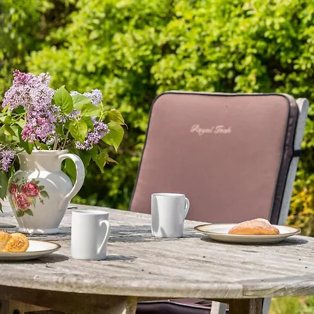 Pet Friendly In With House Sea View Lemvig